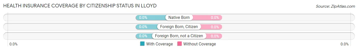 Health Insurance Coverage by Citizenship Status in Lloyd