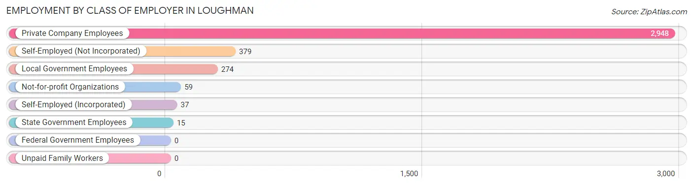 Employment by Class of Employer in Loughman