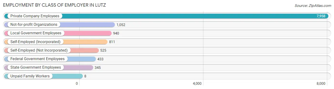 Employment by Class of Employer in Lutz