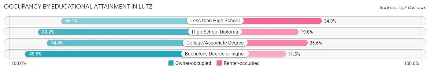 Occupancy by Educational Attainment in Lutz