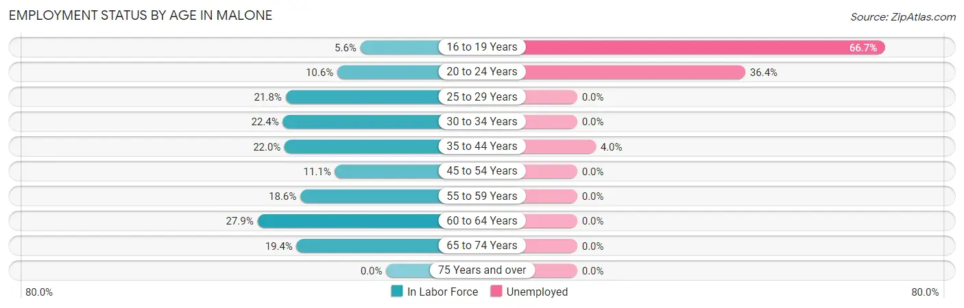 Employment Status by Age in Malone