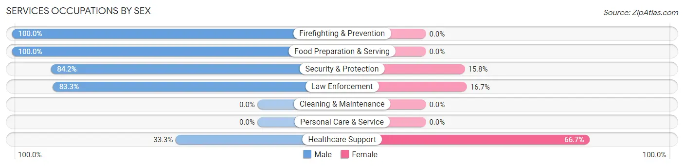 Services Occupations by Sex in Malone