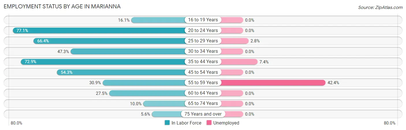 Employment Status by Age in Marianna