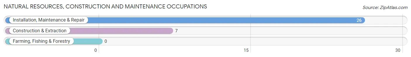 Natural Resources, Construction and Maintenance Occupations in Matlacha