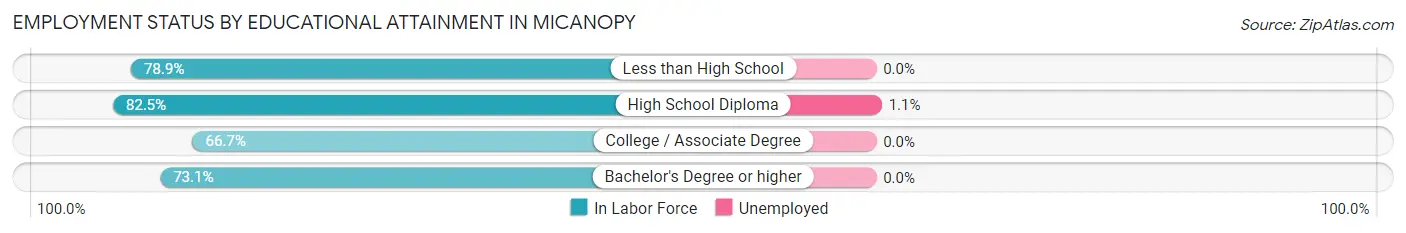 Employment Status by Educational Attainment in Micanopy
