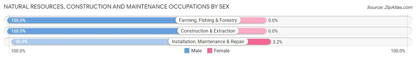 Natural Resources, Construction and Maintenance Occupations by Sex in Midway CDP Santa Rosa County