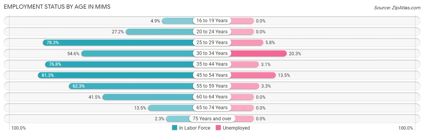 Employment Status by Age in Mims