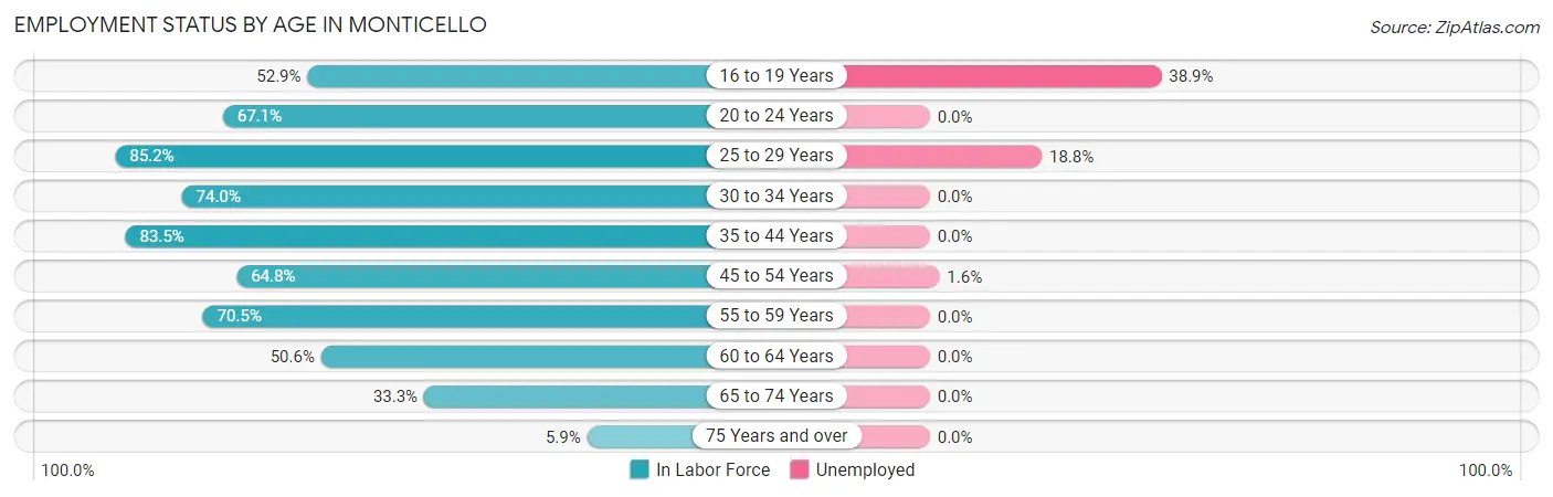 Employment Status by Age in Monticello