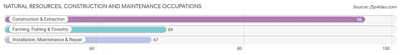 Natural Resources, Construction and Maintenance Occupations in Mount Plymouth