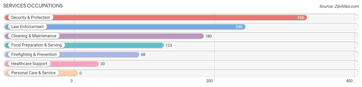 Services Occupations in Mount Plymouth