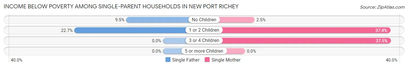 Income Below Poverty Among Single-Parent Households in New Port Richey