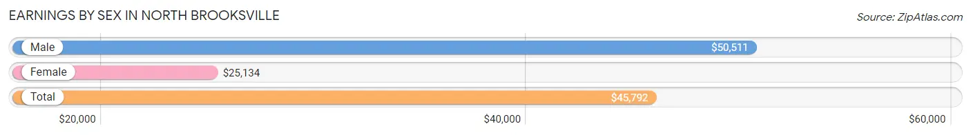 Earnings by Sex in North Brooksville