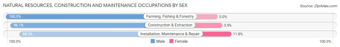 Natural Resources, Construction and Maintenance Occupations by Sex in North Palm Beach