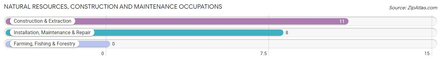 Natural Resources, Construction and Maintenance Occupations in On Top of the World