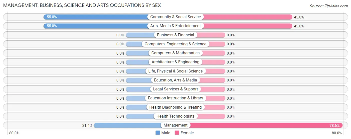 Management, Business, Science and Arts Occupations by Sex in Paisley