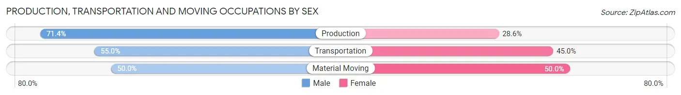 Production, Transportation and Moving Occupations by Sex in Palm Shores