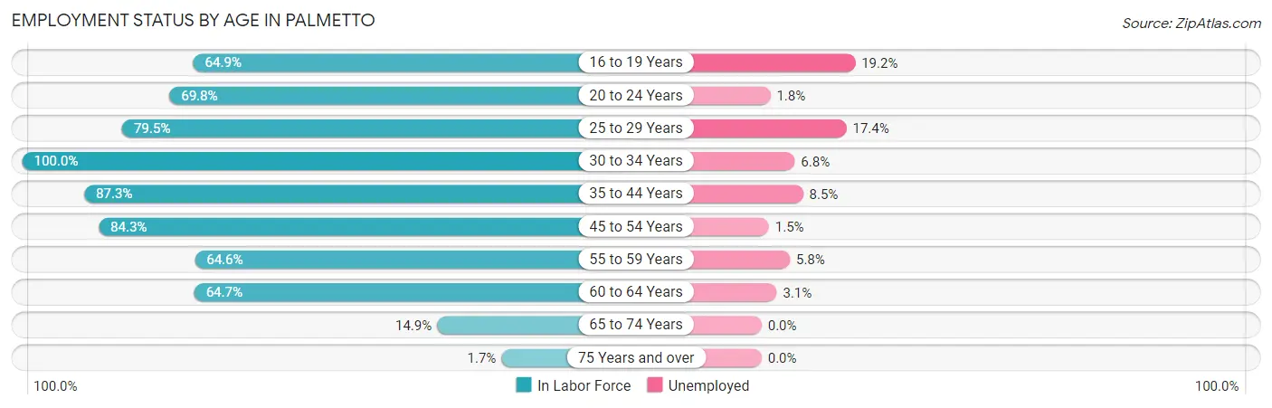 Employment Status by Age in Palmetto