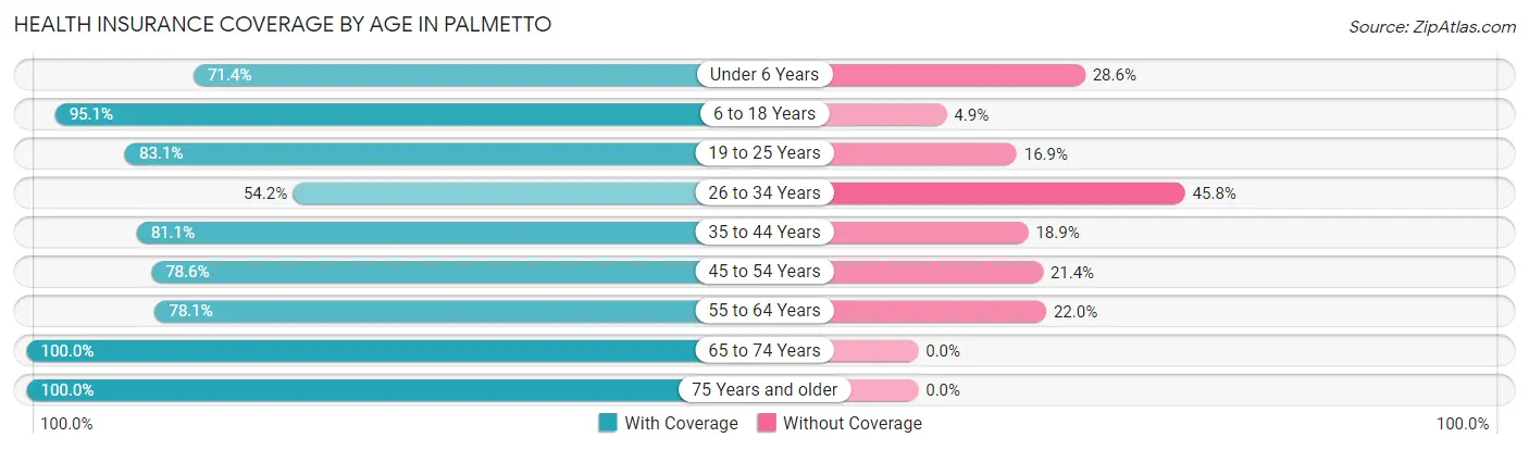 Health Insurance Coverage by Age in Palmetto