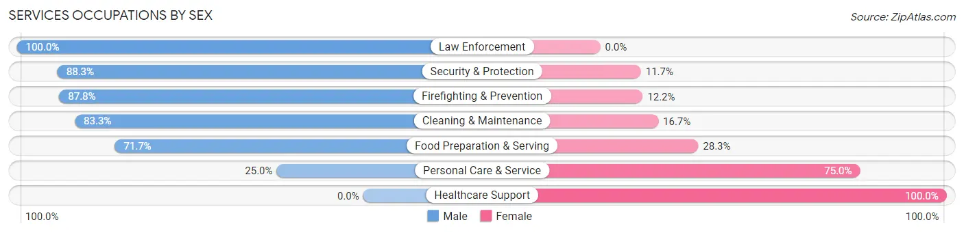Services Occupations by Sex in Palmetto