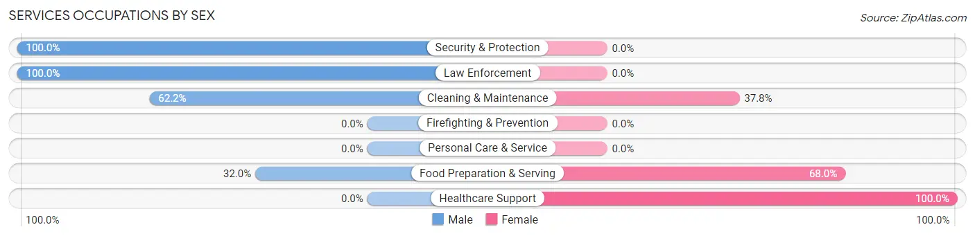 Services Occupations by Sex in Pierson