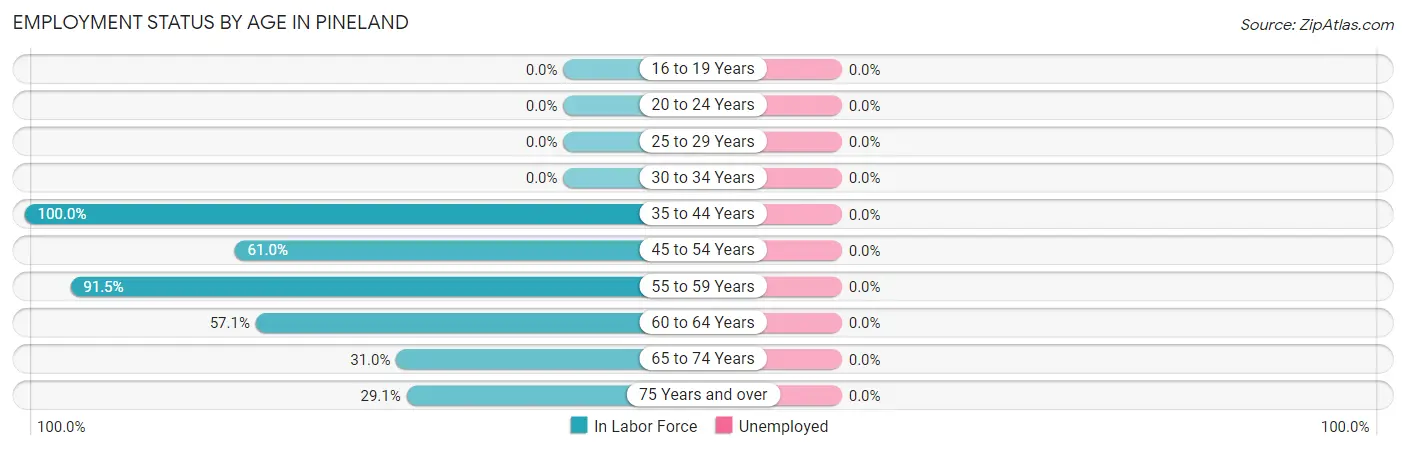 Employment Status by Age in Pineland
