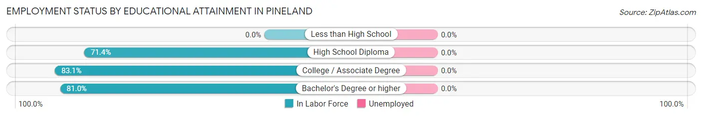 Employment Status by Educational Attainment in Pineland