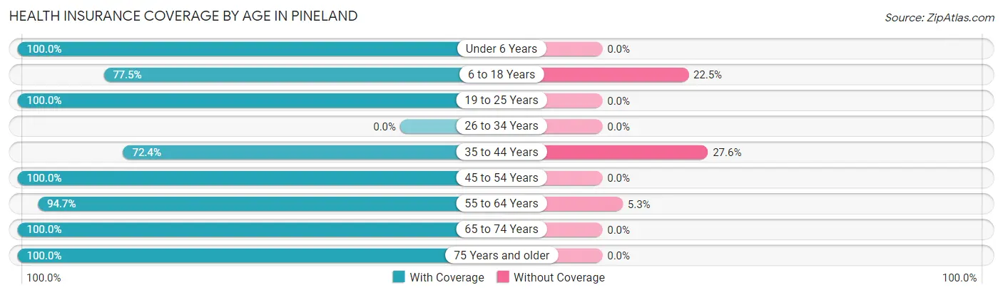 Health Insurance Coverage by Age in Pineland