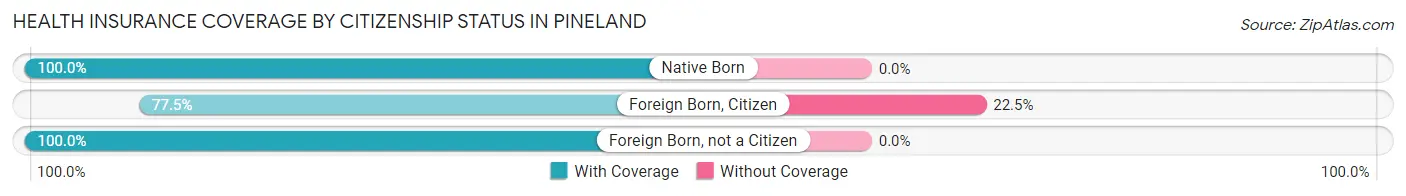 Health Insurance Coverage by Citizenship Status in Pineland