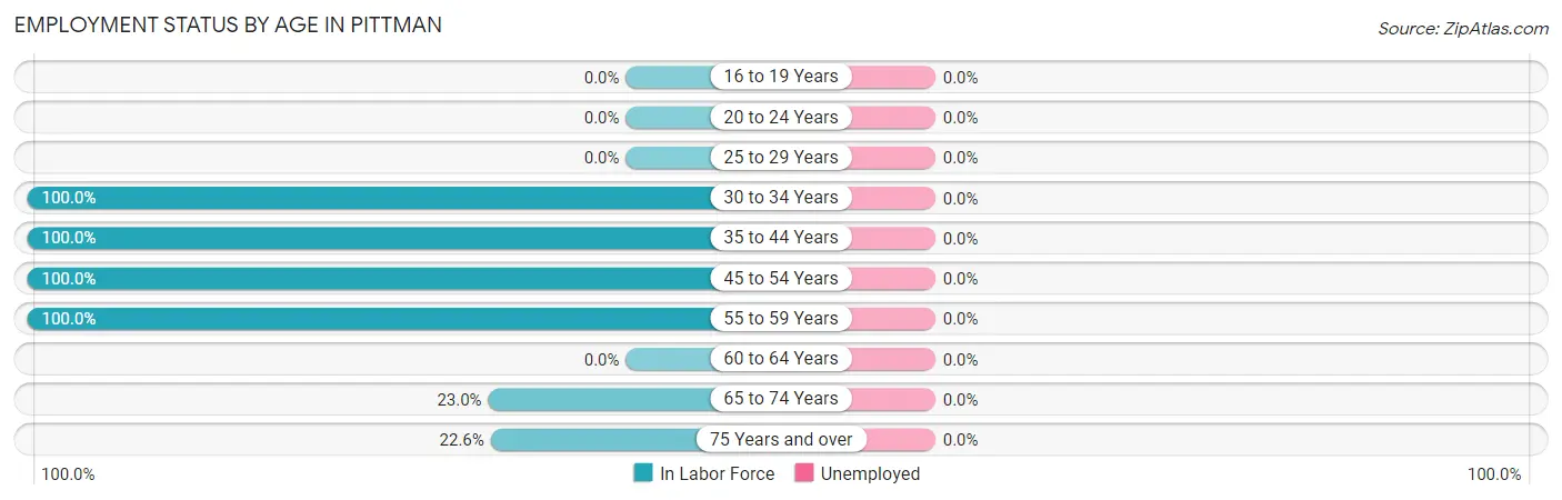 Employment Status by Age in Pittman