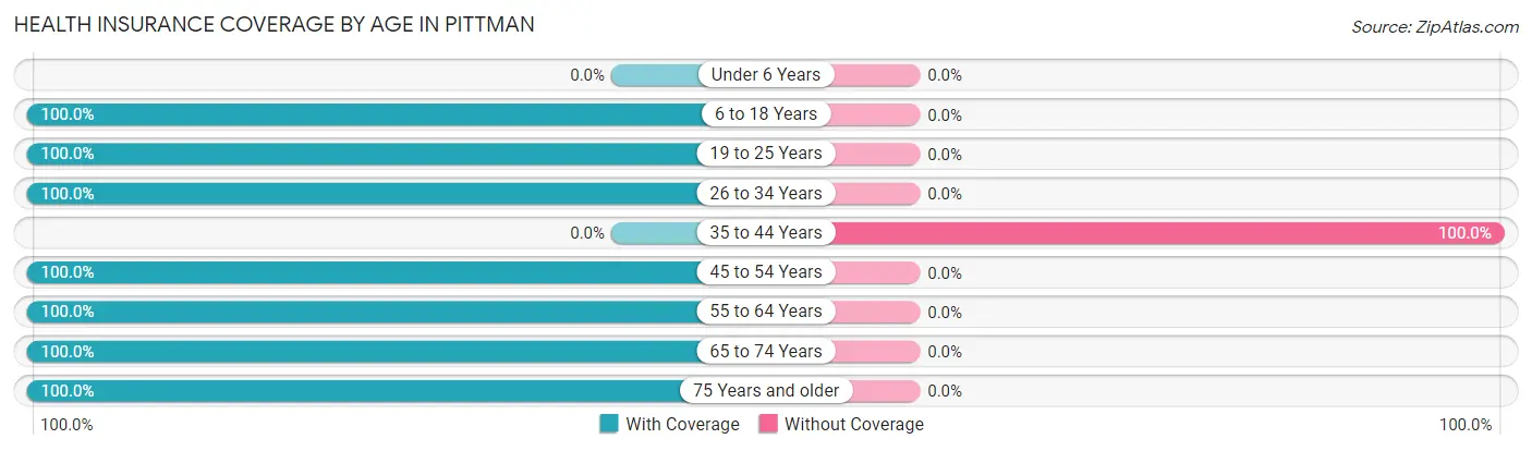 Health Insurance Coverage by Age in Pittman