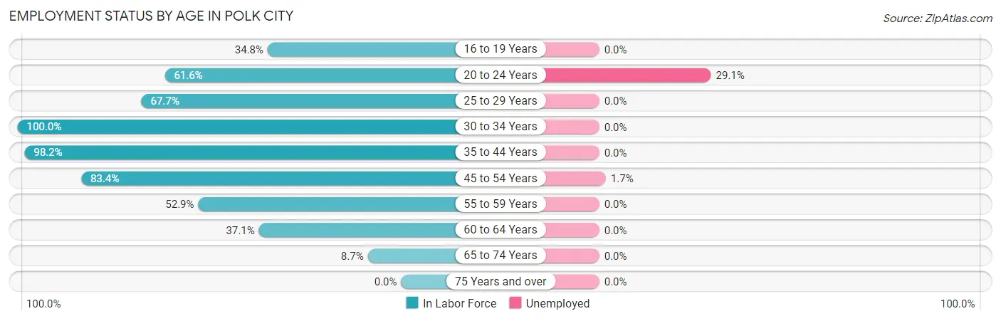 Employment Status by Age in Polk City