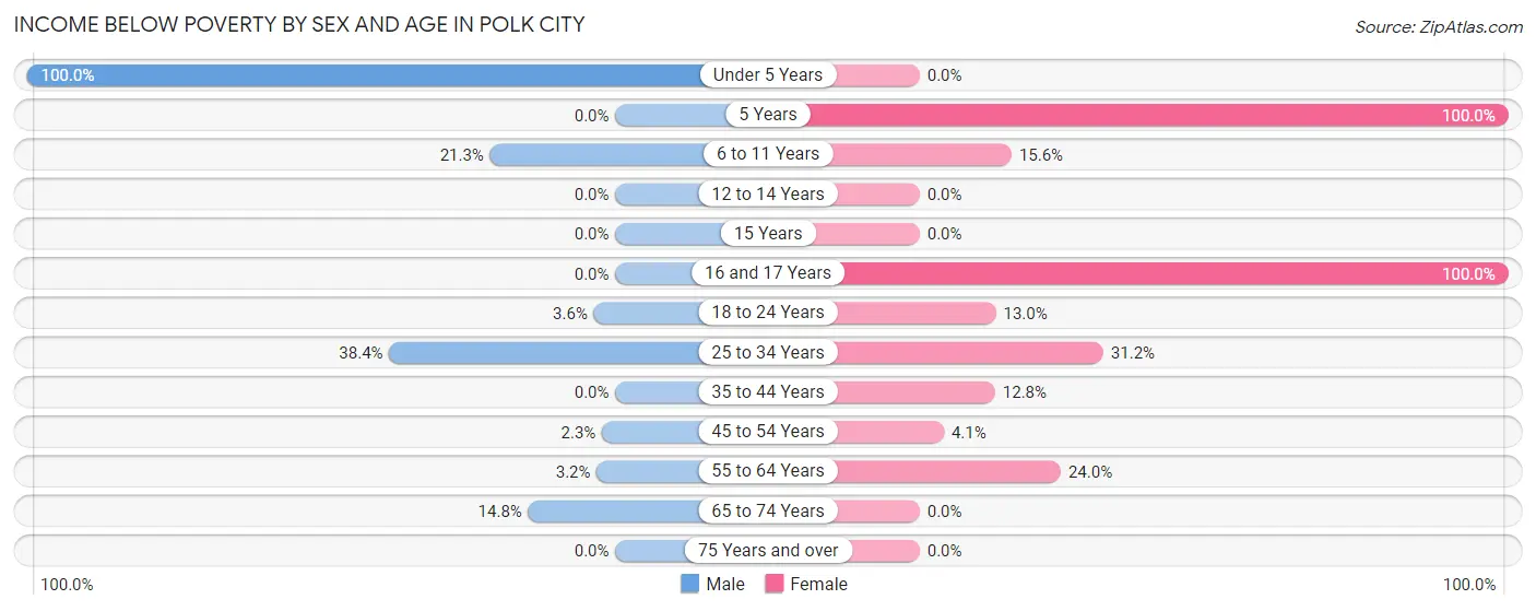 Income Below Poverty by Sex and Age in Polk City