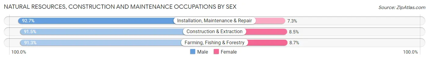 Natural Resources, Construction and Maintenance Occupations by Sex in Port Orange