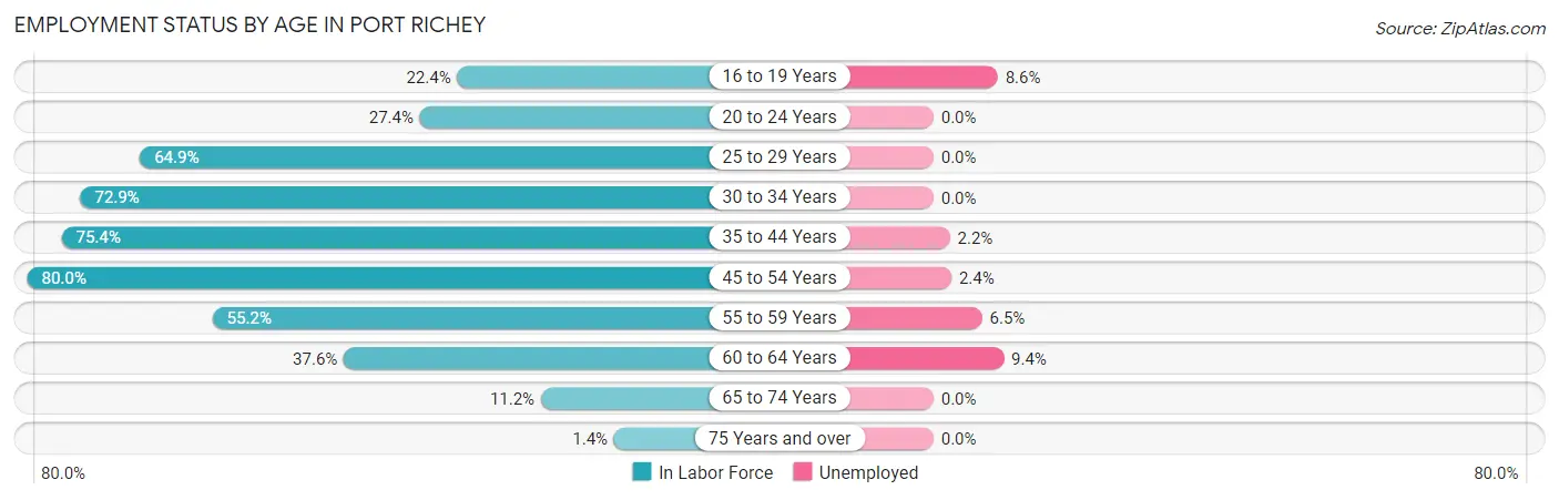 Employment Status by Age in Port Richey