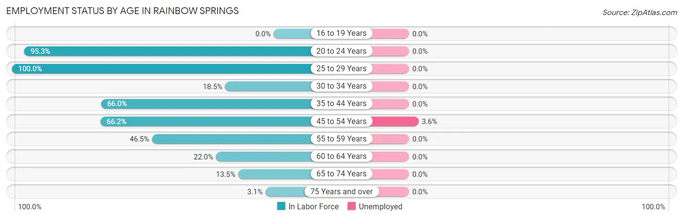 Employment Status by Age in Rainbow Springs
