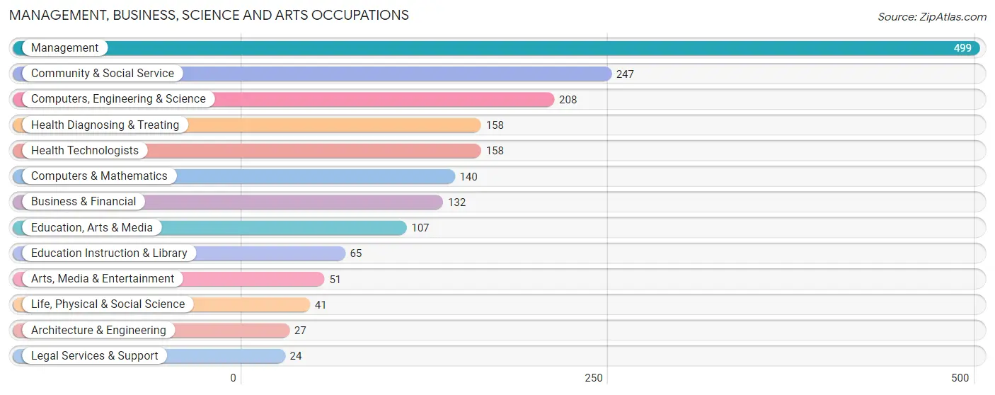 Management, Business, Science and Arts Occupations in Rio Pinar