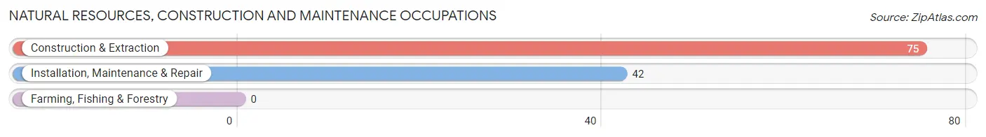 Natural Resources, Construction and Maintenance Occupations in Roseland