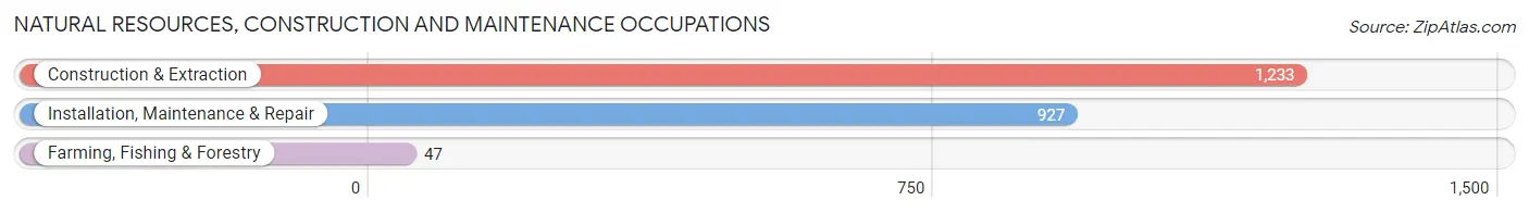 Natural Resources, Construction and Maintenance Occupations in Royal Palm Beach