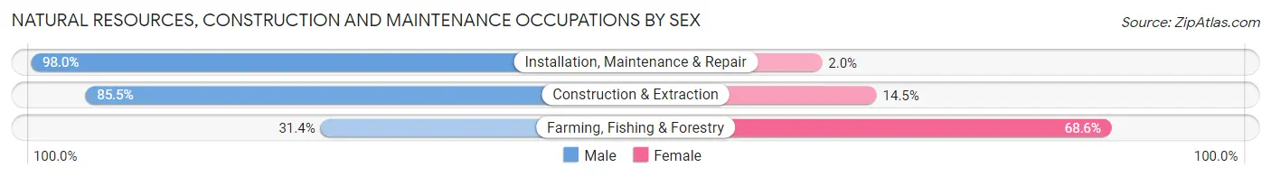Natural Resources, Construction and Maintenance Occupations by Sex in Ruskin