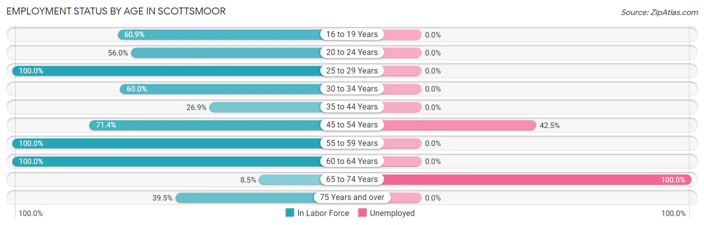 Employment Status by Age in Scottsmoor