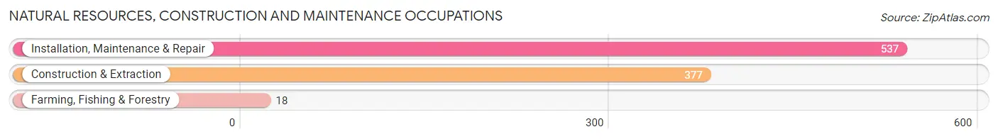 Natural Resources, Construction and Maintenance Occupations in Sebastian