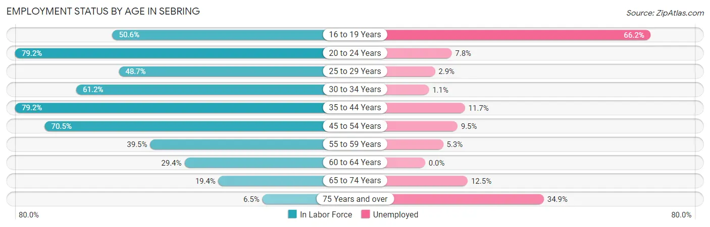 Employment Status by Age in Sebring