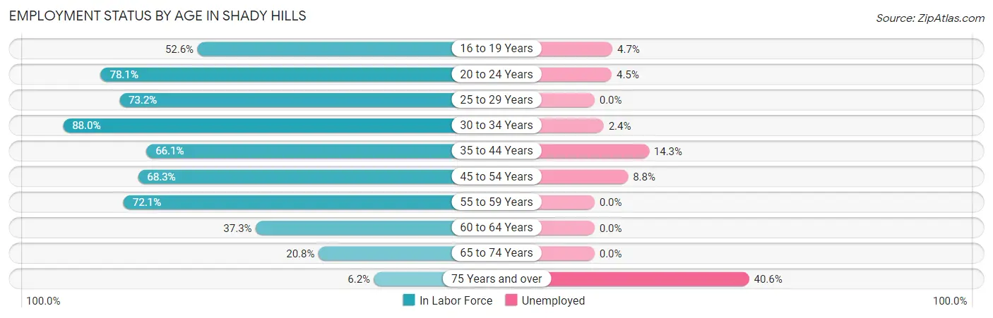 Employment Status by Age in Shady Hills