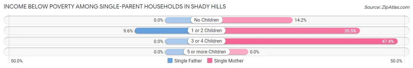 Income Below Poverty Among Single-Parent Households in Shady Hills