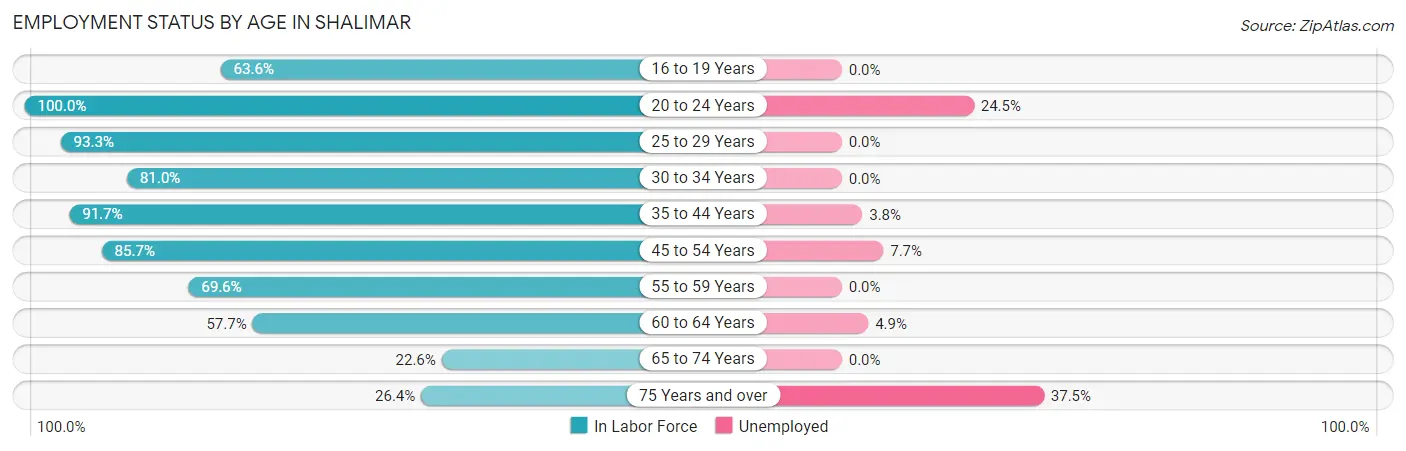 Employment Status by Age in Shalimar