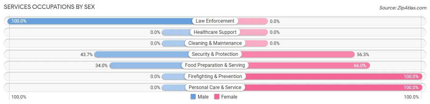 Services Occupations by Sex in Silver Springs