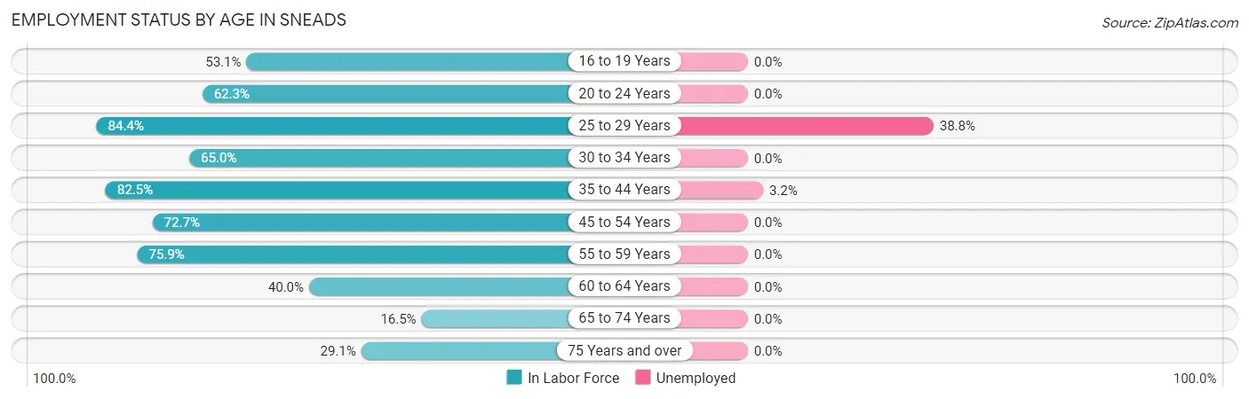 Employment Status by Age in Sneads