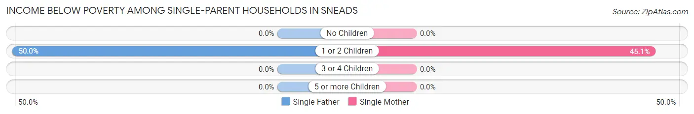 Income Below Poverty Among Single-Parent Households in Sneads