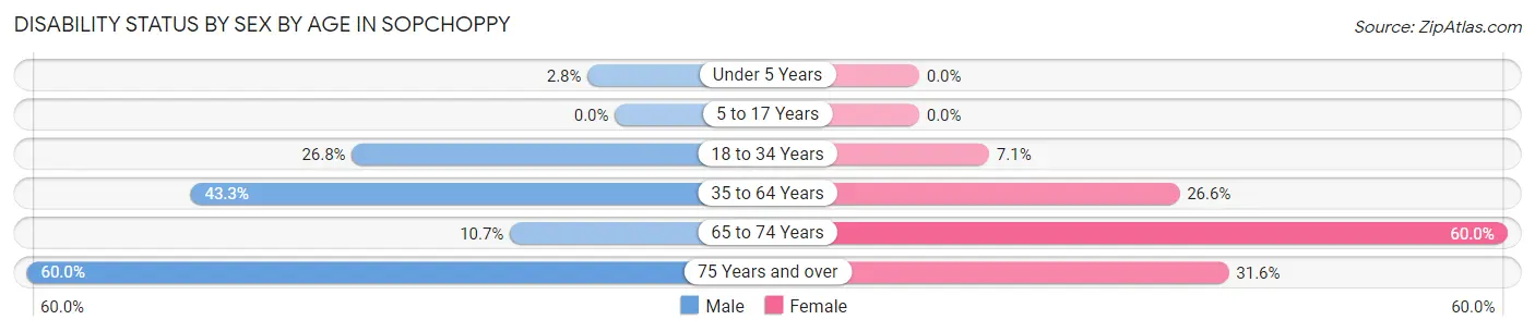 Disability Status by Sex by Age in Sopchoppy