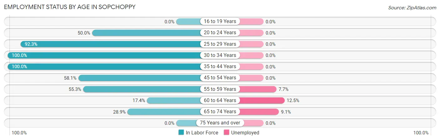 Employment Status by Age in Sopchoppy